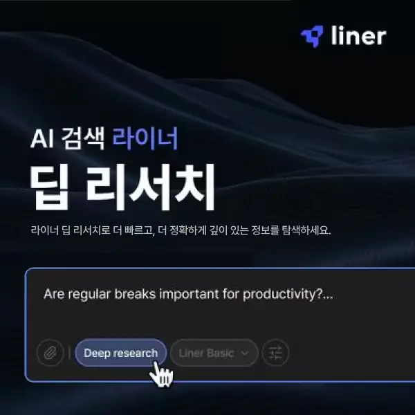 Liner (라이너)