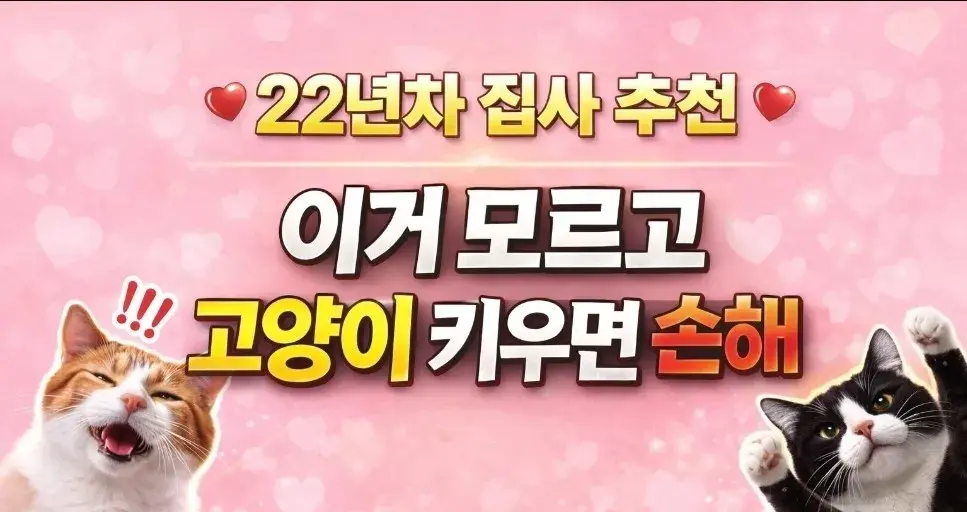 공구가 아닌 현재 인터넷 최저가 추천템!