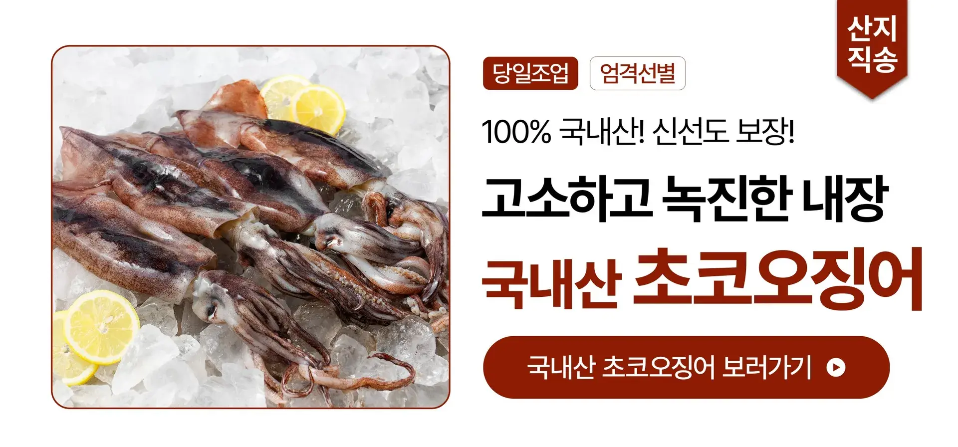 고소한 내장! 100% 국내산 초코오징어🦑