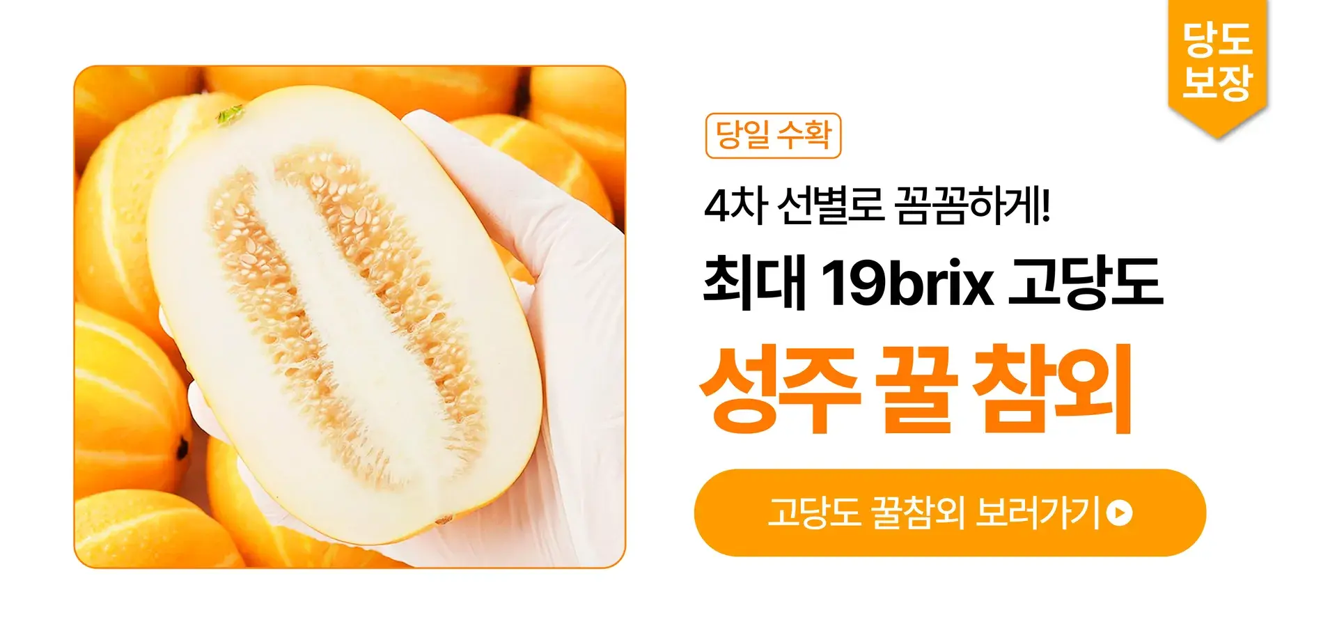💛꿀이 뚝뚝~ 고당도 성주 꿀참외💛