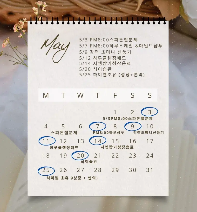 ✨5월 일정표✨