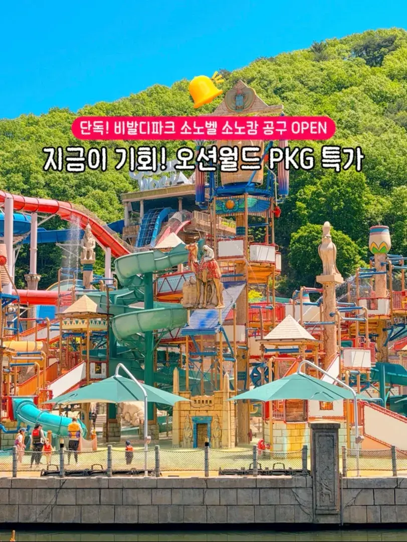 쪼기X소노벨 비발디파크 PKG 초특가