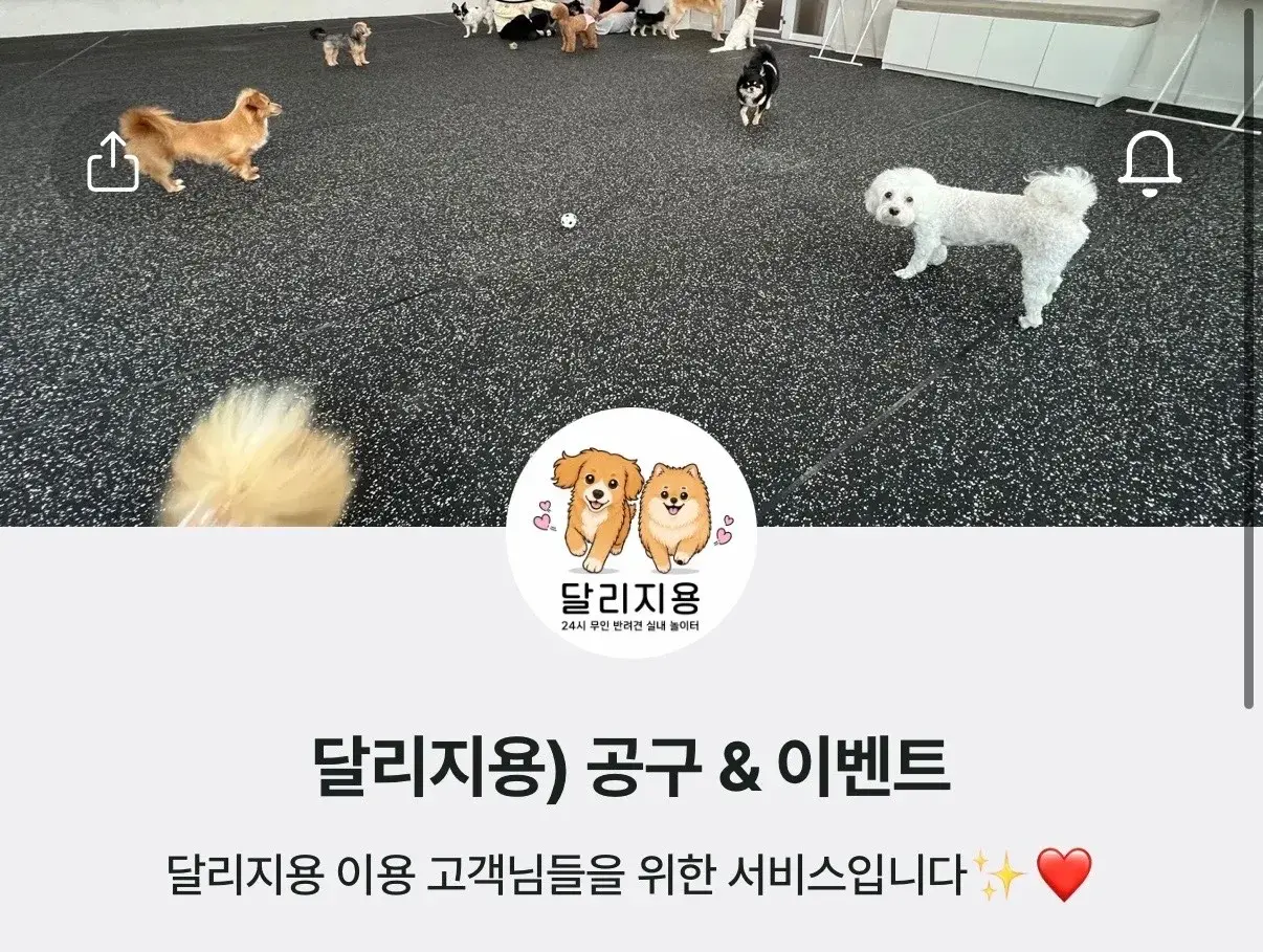 ! 위드펫홈 이용 고객 한정 !
