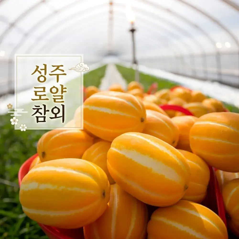 [재구매율100%] 고당도 로얄 성주참외
