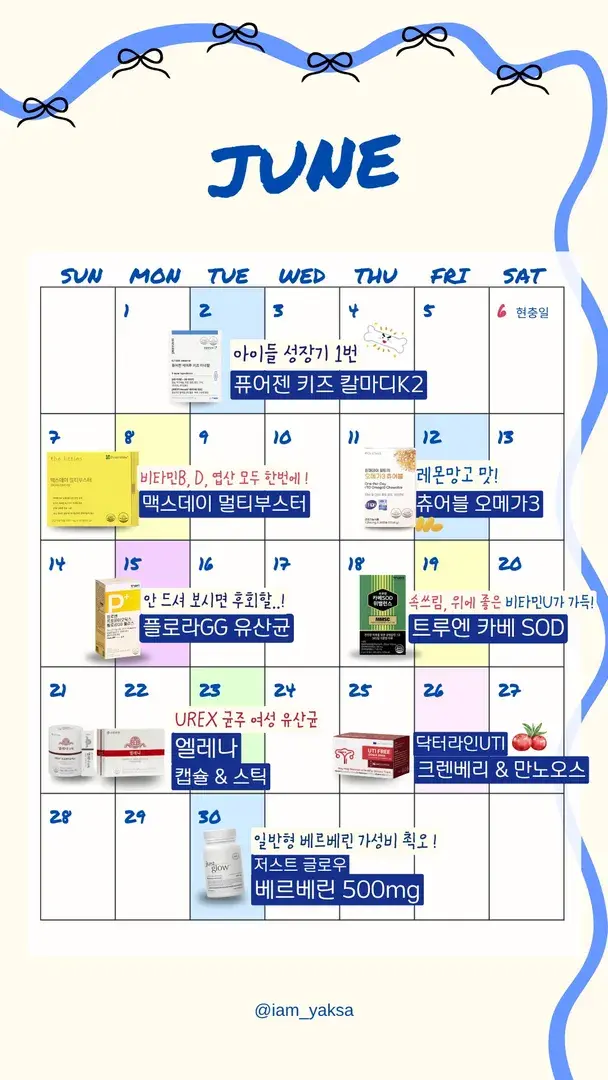 6월 일정🌷