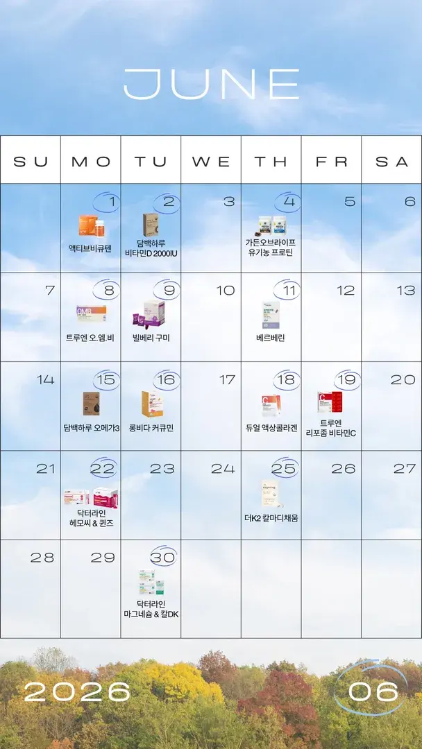 6월 일정