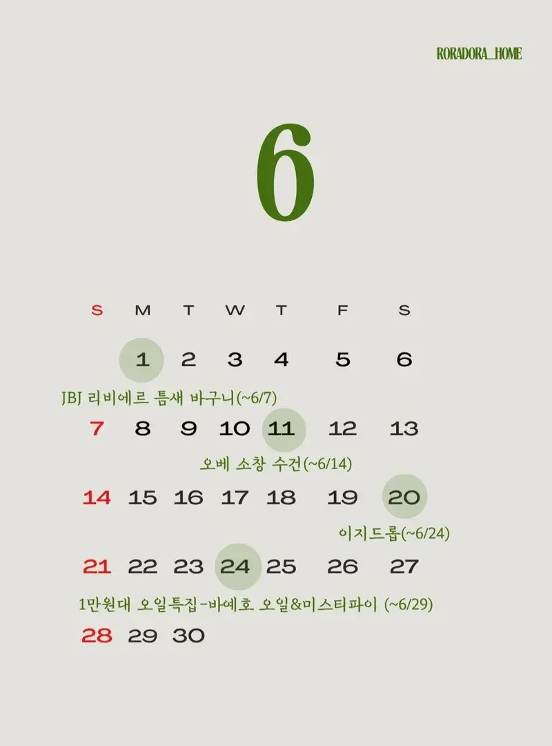 로라도라홈 6월 공구 일정