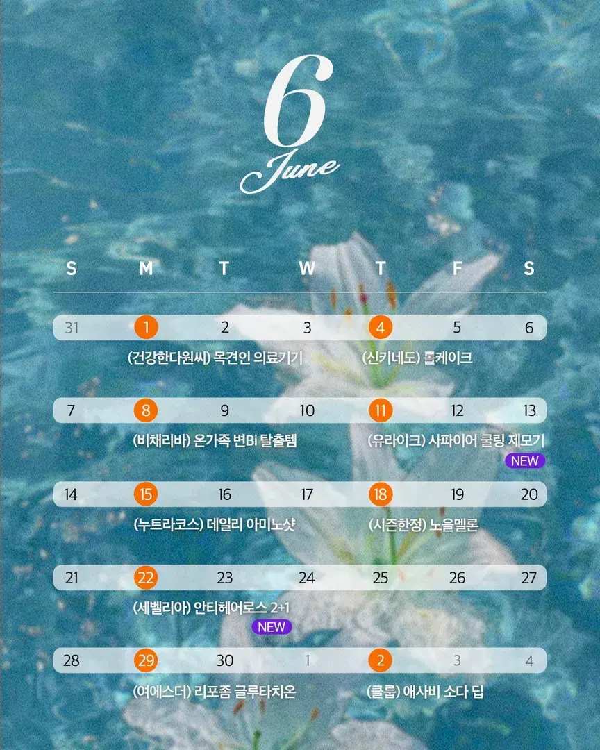 6월 핫딜 스케쥴