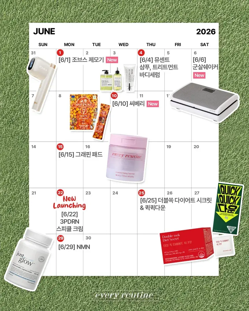 6월 공구일정