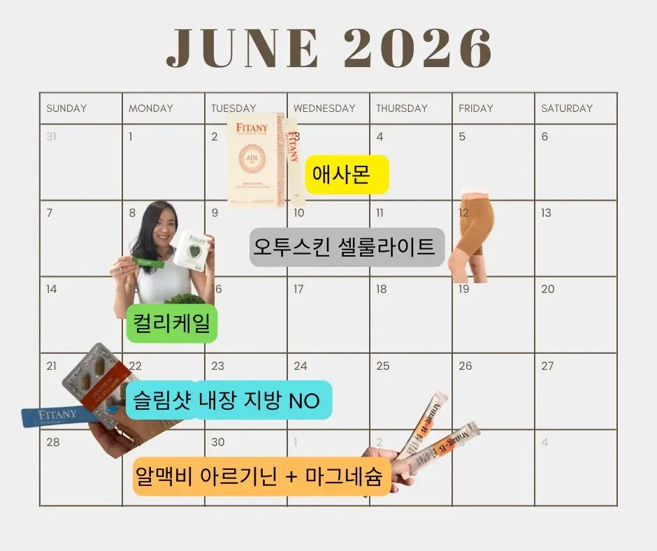 6월 지나핏 마켓 스케줄