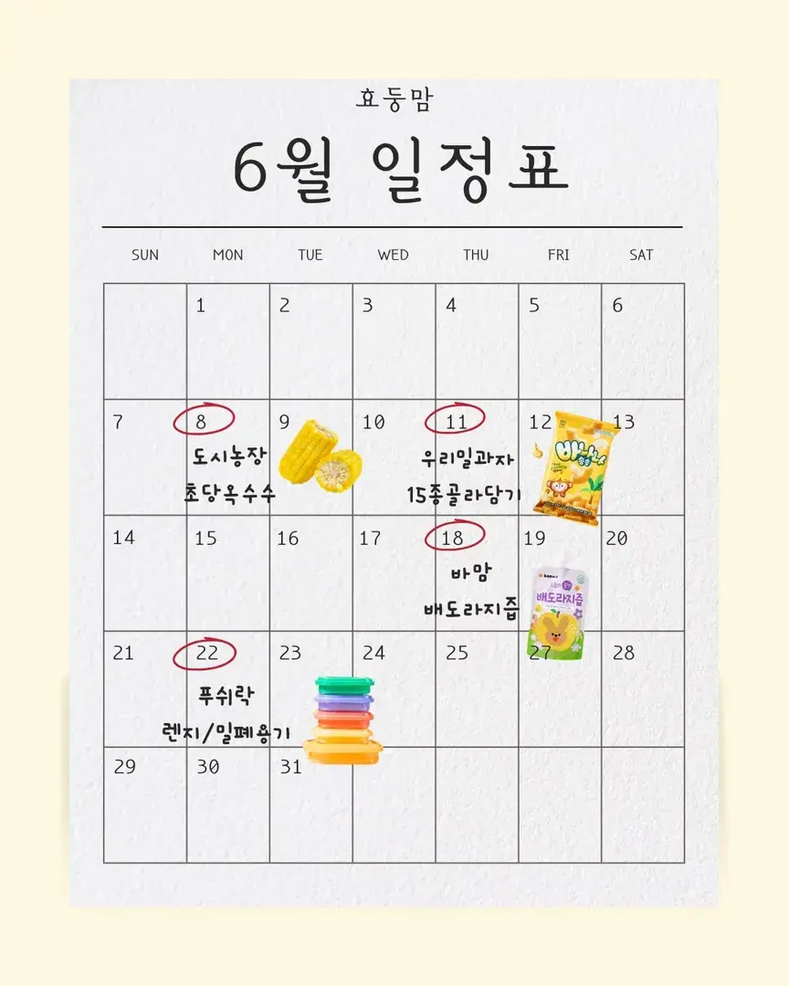 🤍6월 일정표🤍