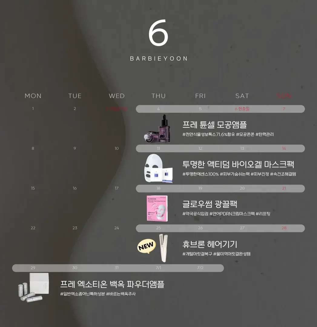 6월 일정 자세히 보러가기