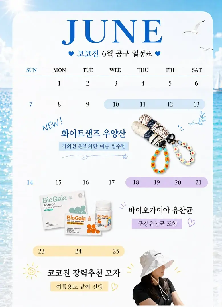 6월 공구 일정표