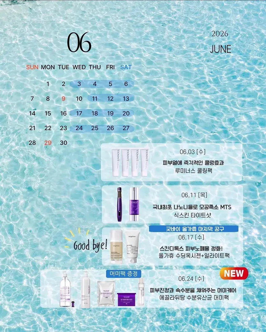 6월 일정