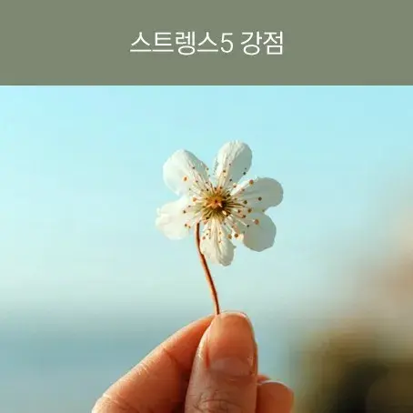 [오픈클래스] 스트렝스5 강점 (7/15)