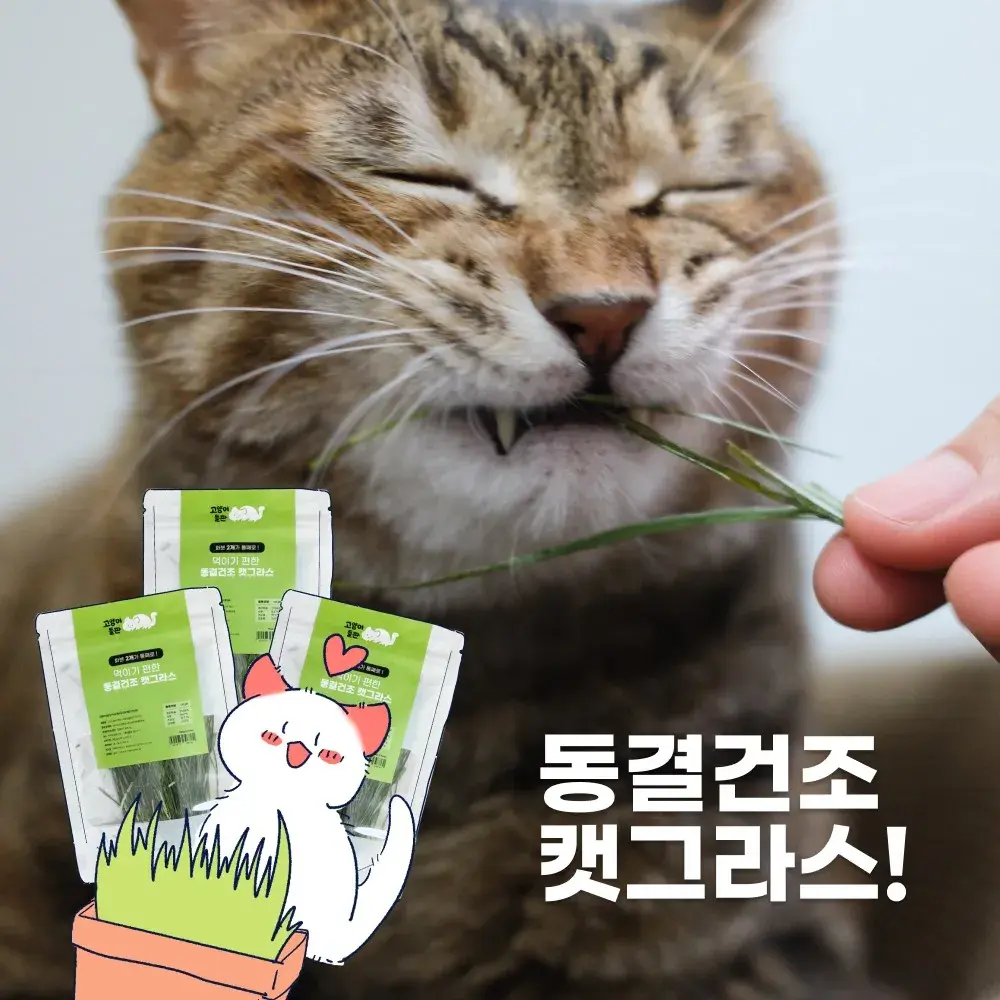 ~7월 14일 마감