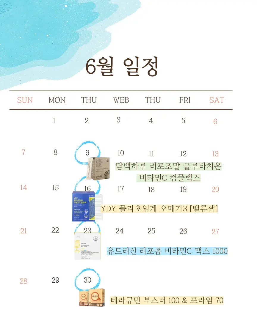 6월 예정된 일정입니다:) 늘 믿어주셔서 감사해요