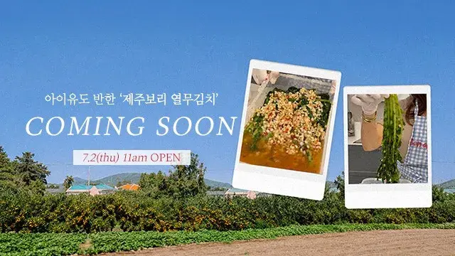 7월2일(목) 오전11시 오픈!
🌿제주산지직송