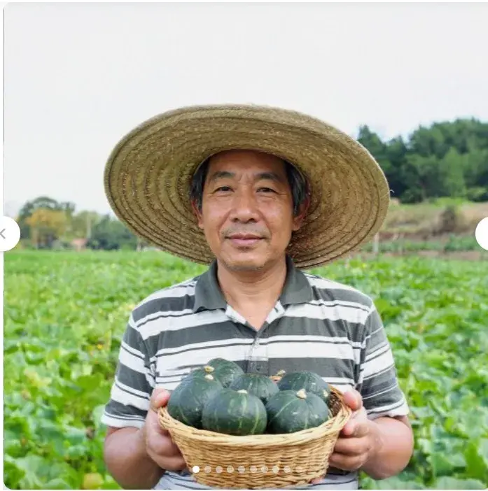 열정농부
제주 밤호박 미니 단호박 보우짱 국내산 2kg