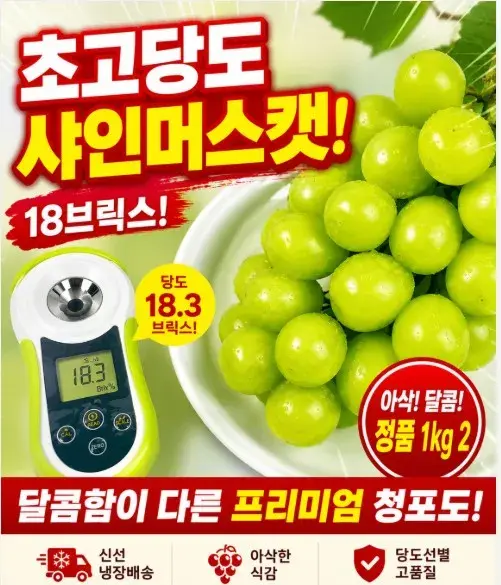 샤인머스켓 초고당도 18브릭스 씨없는 청포도 1kg 2