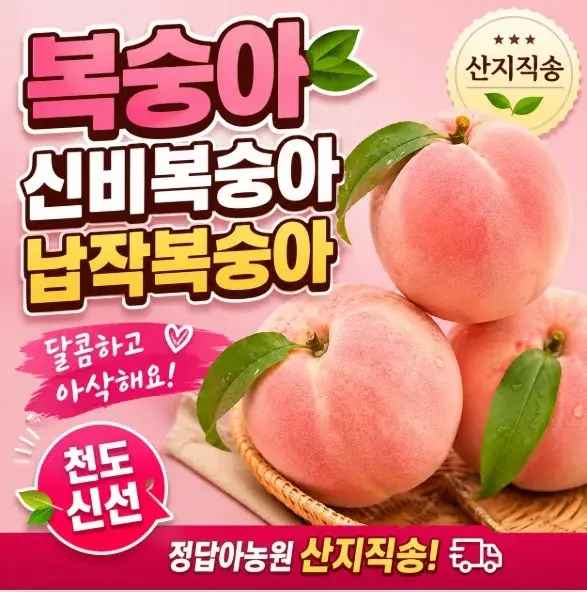 정담아농원
복숭아 신비복숭아 납작복숭아 천도 신선