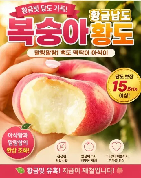 복숭아 황금반도 황도 말랑이 백도 딱딱이 아삭이 홍백
