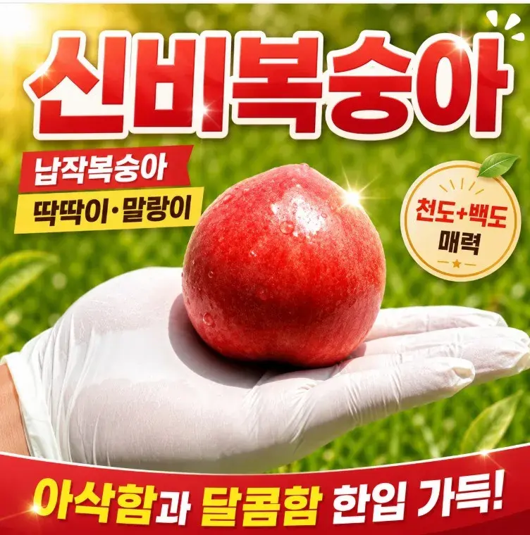 복숭아 신비복숭아 납작복숭아 딱딱이 말랑이 천도 백도