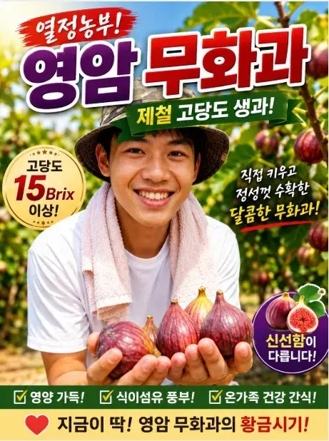 열정농부
영암 무화과제철 고당도 무화과 생과