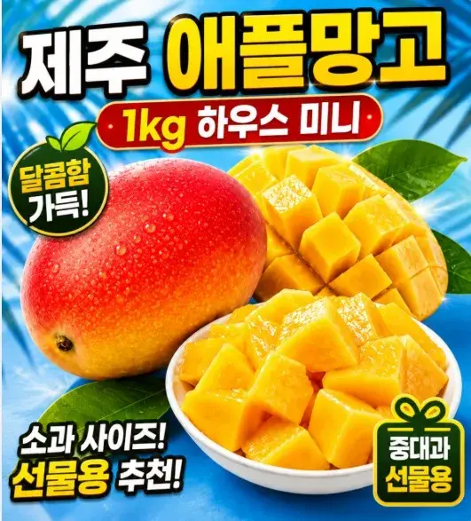 제주 애플망고 1kg 하우스 미니 소과 중대과 선물용