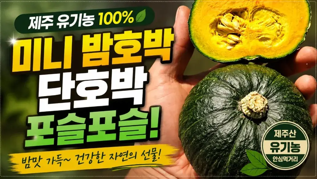 제주 유기농 미니 밤호박 단호박 포슬포슬 밤맛 가득