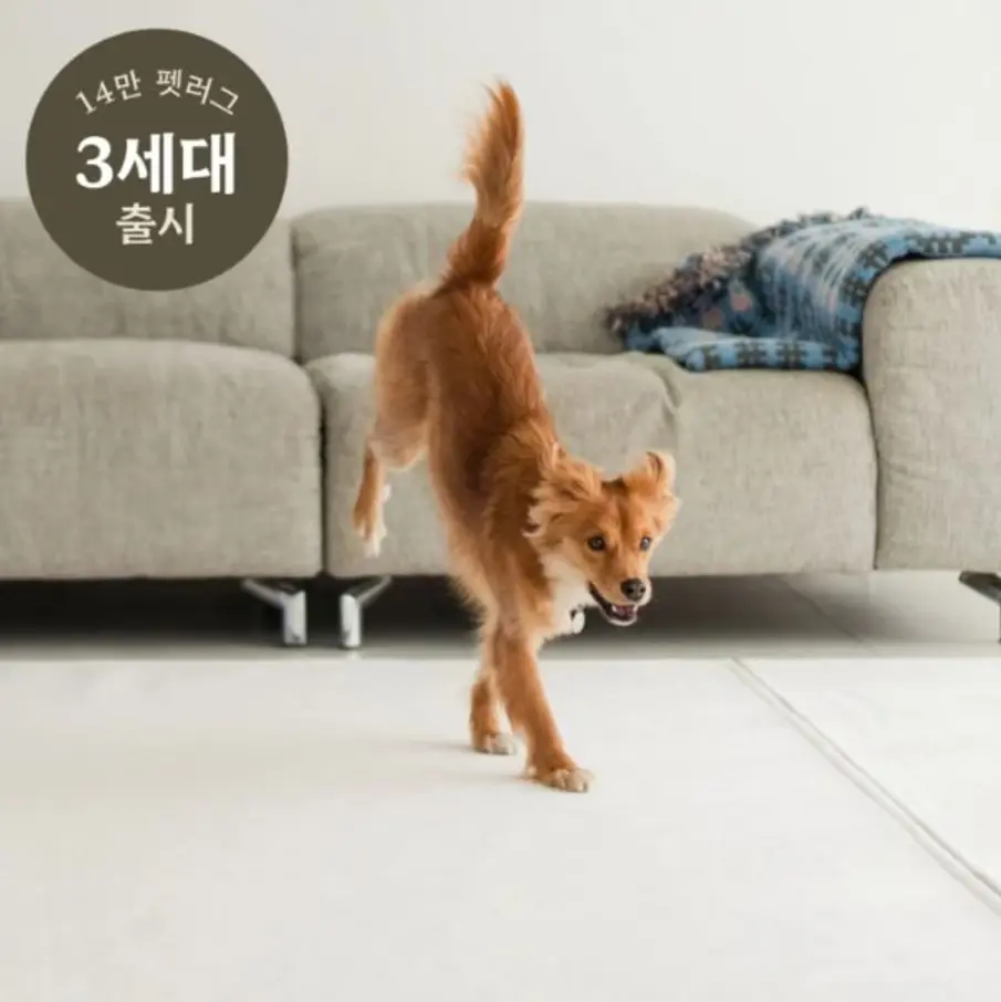 릴리브 펫슬리브 3세대 거실러그