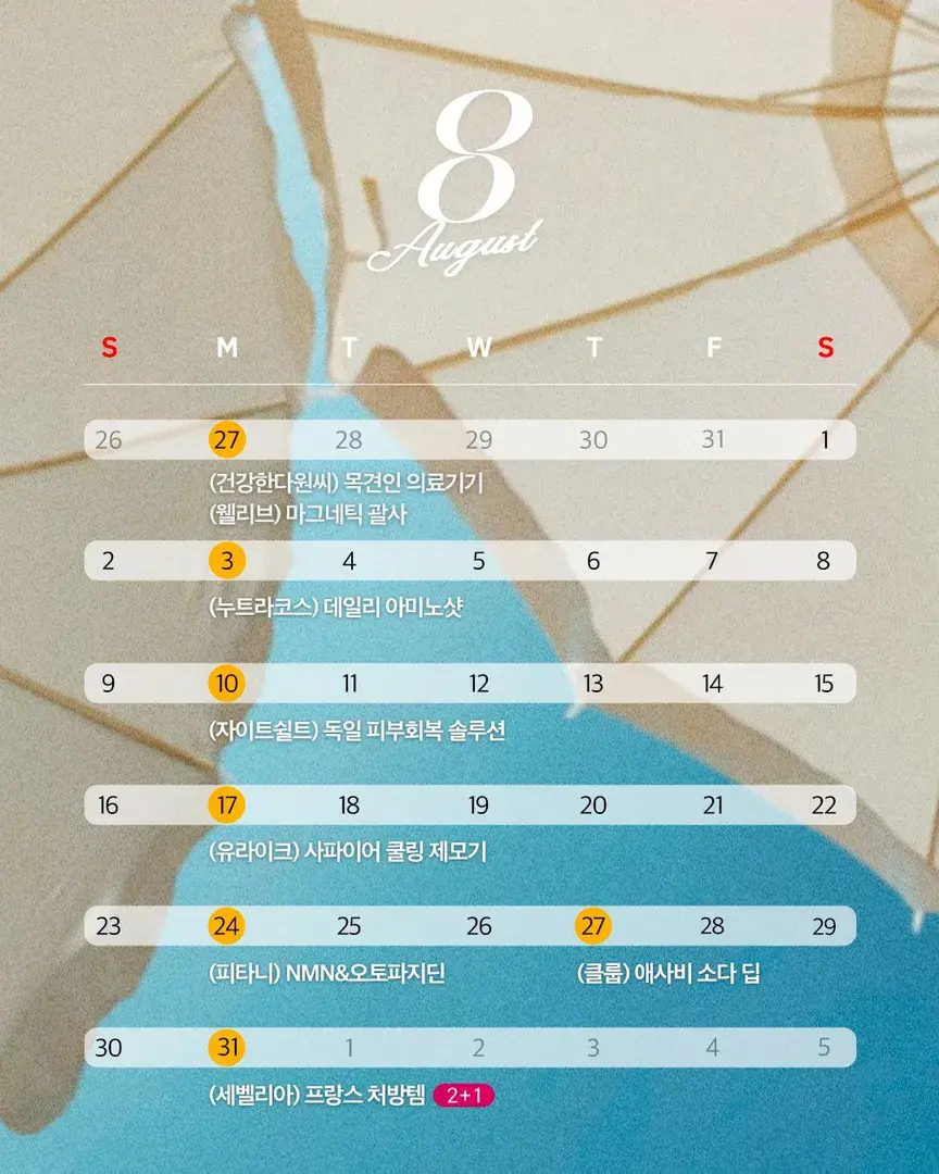 8월 핫딜 스케쥴