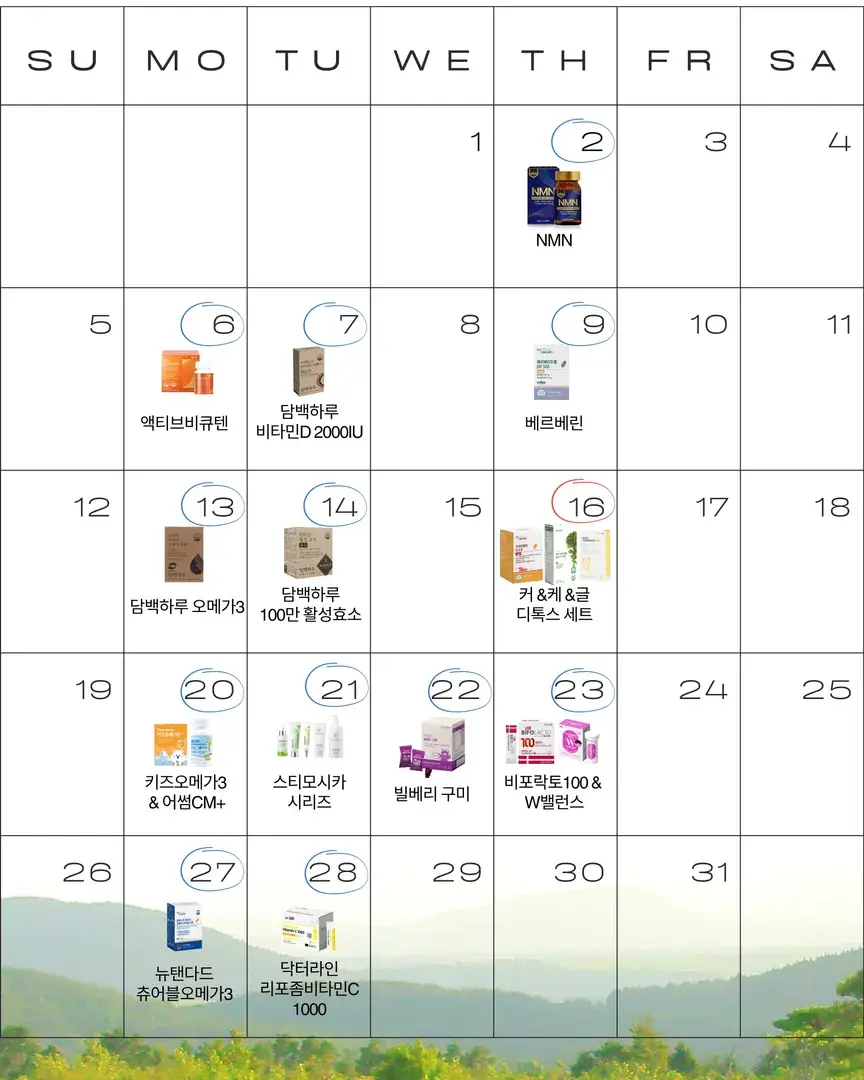 7월 일정