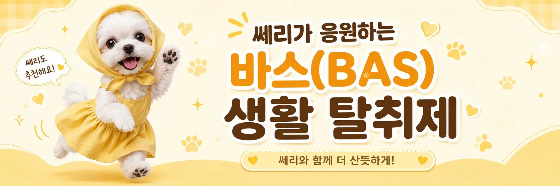 쎄리가 응원하는 바스