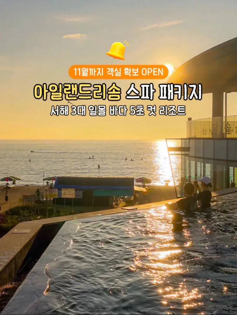 아일랜드라솜 특가 ~8/30까지