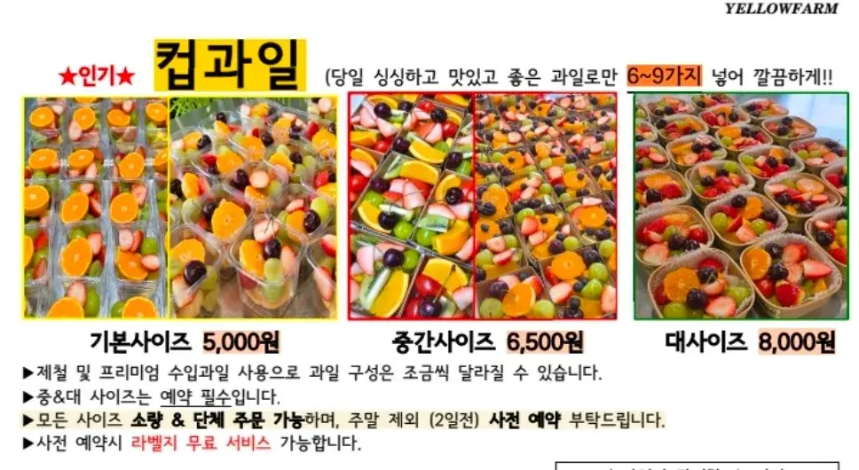 사이즈별 컵과일
