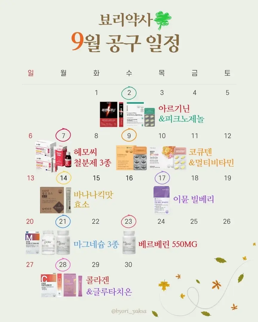 공구 일정 둘러보기 💛