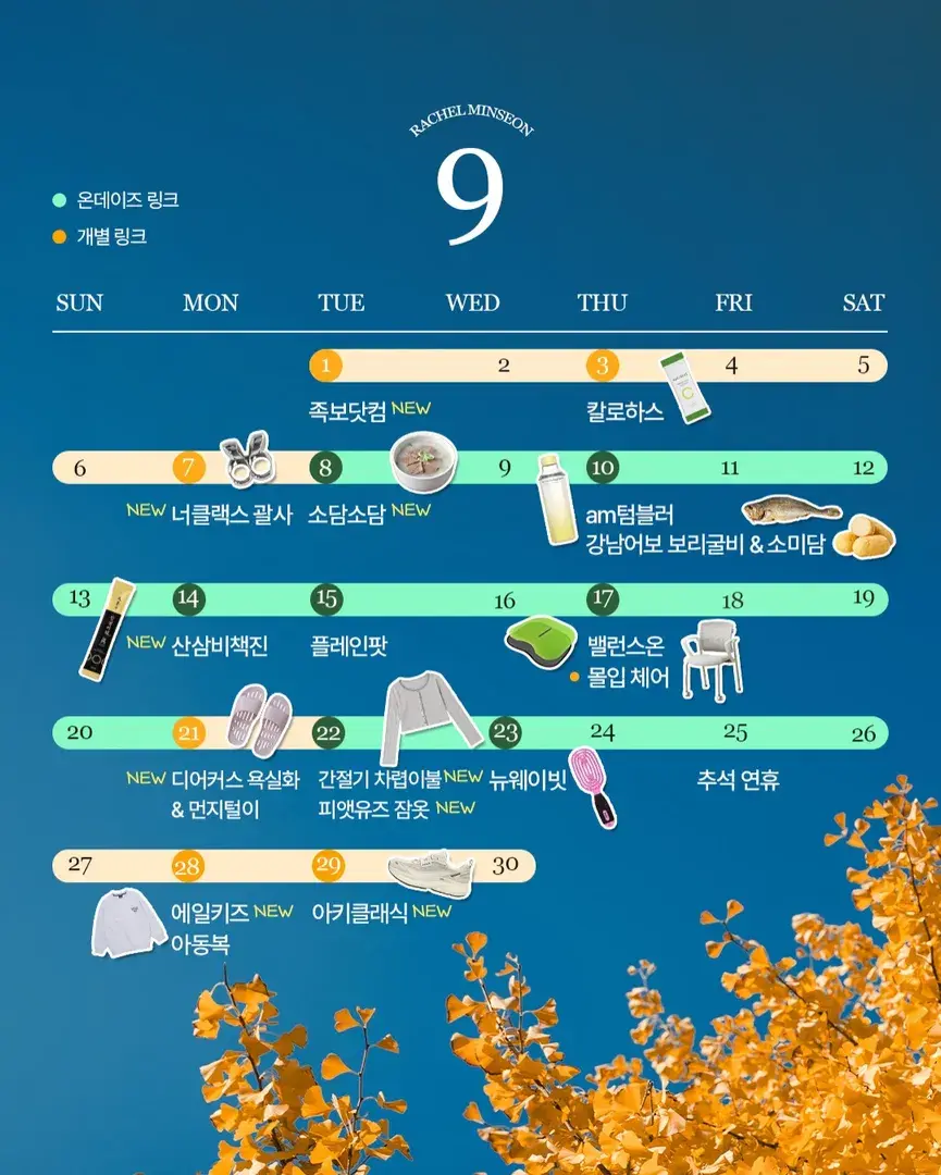 9월 스케줄