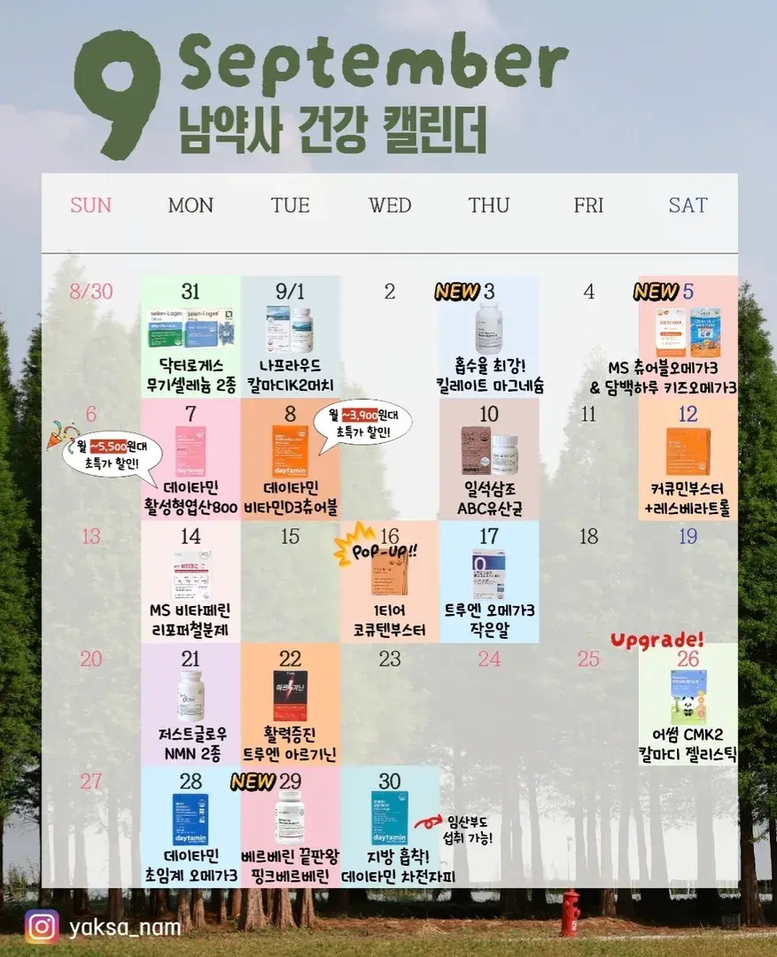 💚9월 일정💚