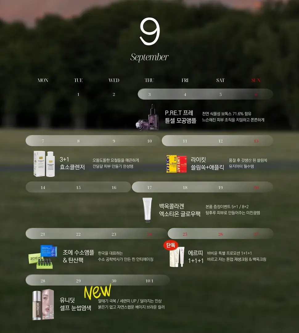 9월 일정