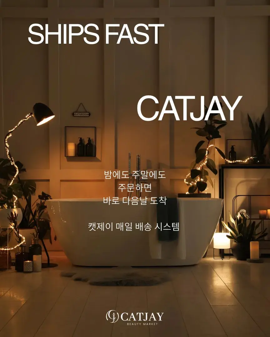 캣제이 매일 배송 시스템