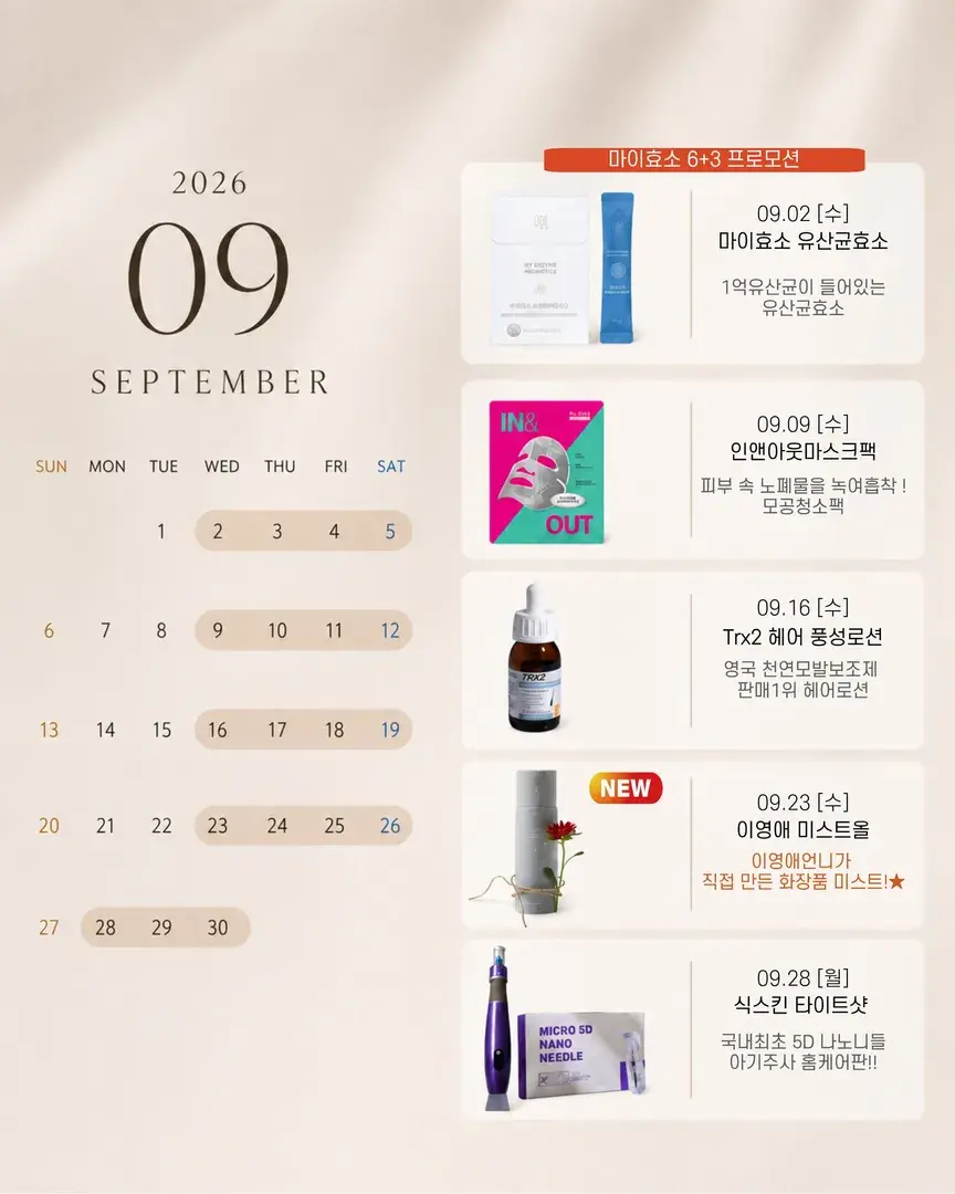 9월 일정