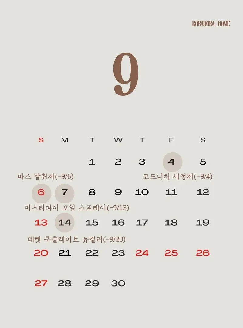 로라도라홈 9월 일정
