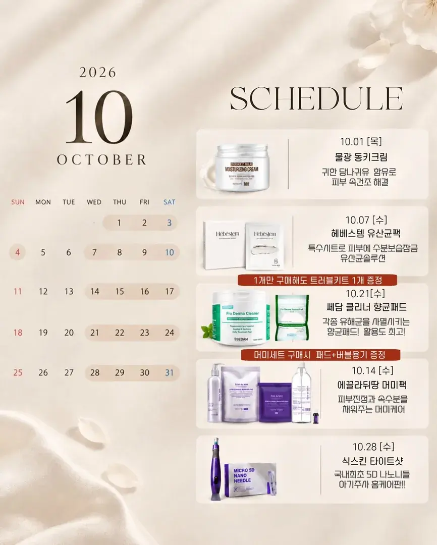10월 일정