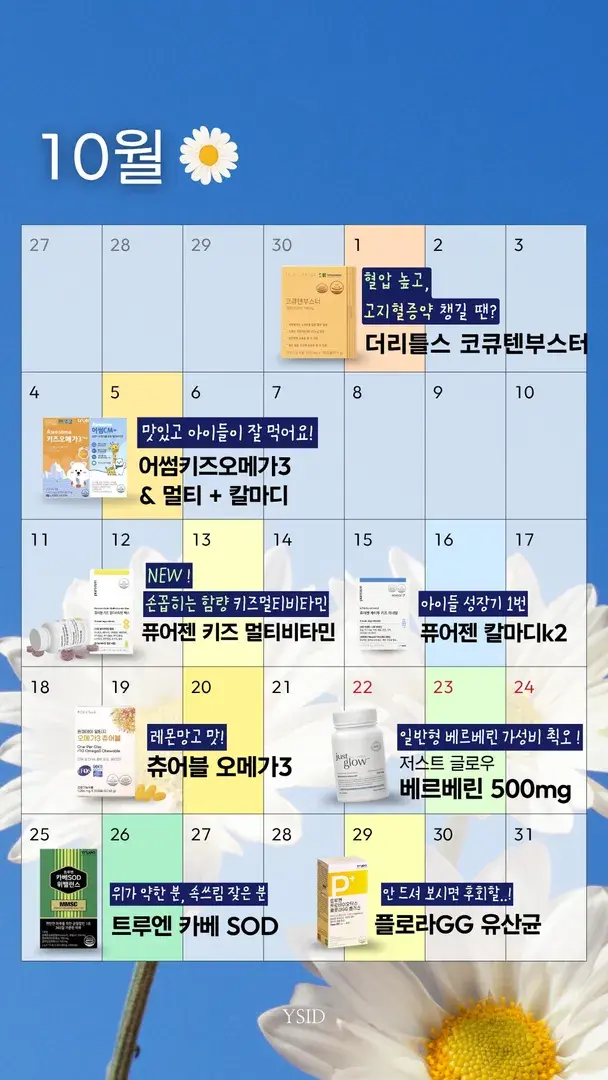 10월 일정
[누르시면 상세 제품이 보여요]