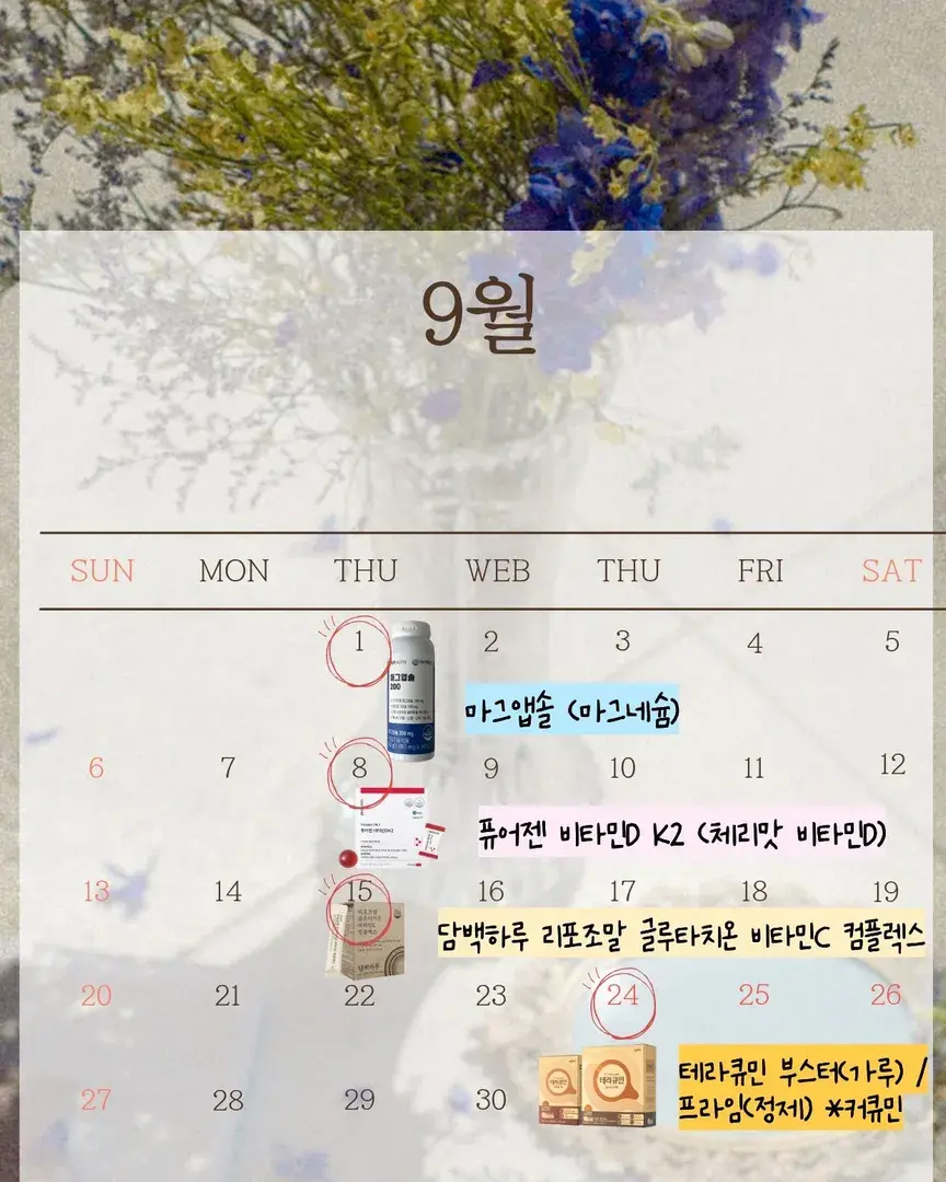 9월 예정된 일정입니다:) 늘 믿어주셔서 감사합니다!